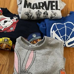 Gentle Used Toddler Sweatshirt (Muti-Pack)